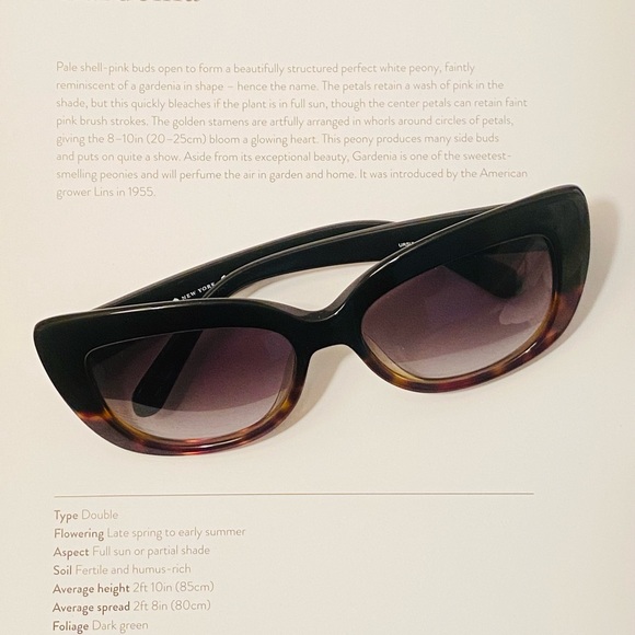 Like NEW! Kate Spade Black & Tortoise Large Cateye Sunglasses - Picture 13 of 15